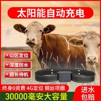 Cattle Goat Gps Locator Mountain Grazing Special Beidou Satellite Pursuit Theorator Horse Animal Waterproof Anti-Lose Heel J Remote