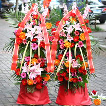 Opening flower basket Chongqing Banan Wanzhou Fuling Yongchuan Bishan Dazu Qijiang Jiangjin Hechuan South Bank Yuzhong Tongliang