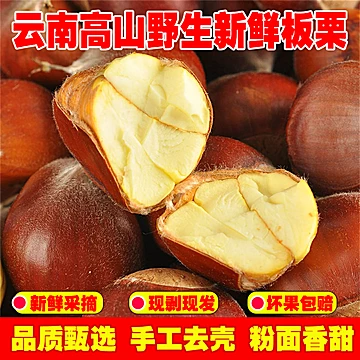 云南野生新鲜生板栗一斤