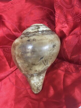 Precious Pyramid of the Precious Pyramid of the Hidden Right-hand Sea Snail