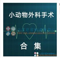 2020 full set of pet doctor small animal veterinarian video materials internal medicine surgery obstetrics orthopedic surgery