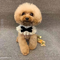 Dog shoes than bear Bodi do not drop shoes small dog dog dog shoes out non-slip outdoor waterproof