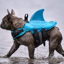 Dafa swimsuit puppy shark life jacket anti-drowning Teddy clothes Net red summer supplies life-saving cats