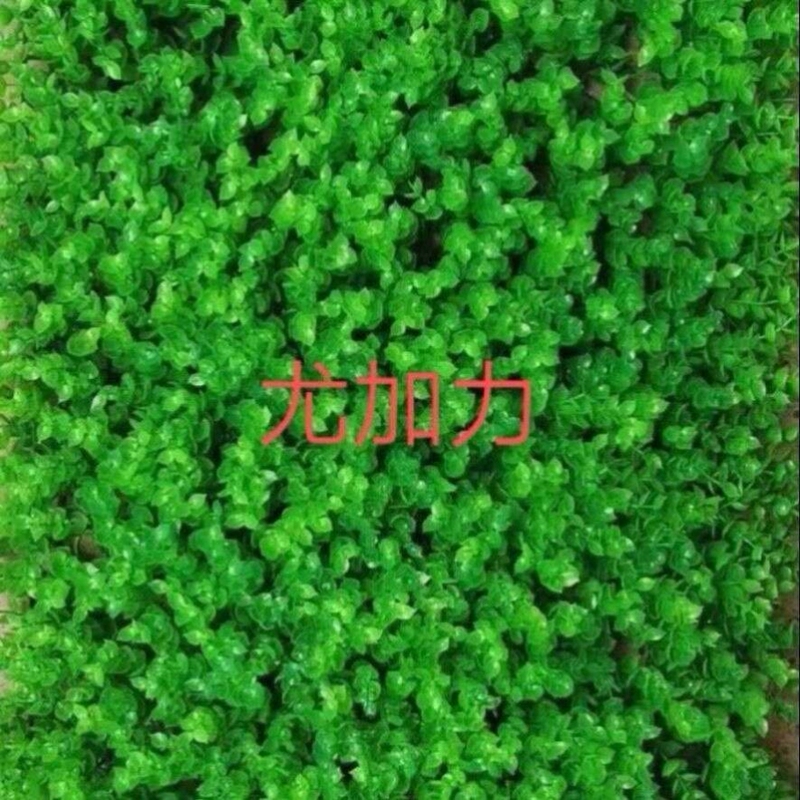 Summer Car Roof Sunshade Lawn Electric Tricycle Sunshade Lawn Four-Wheel Electric Car Heat Insulation Decorative Lawn Car Canopy Cover
