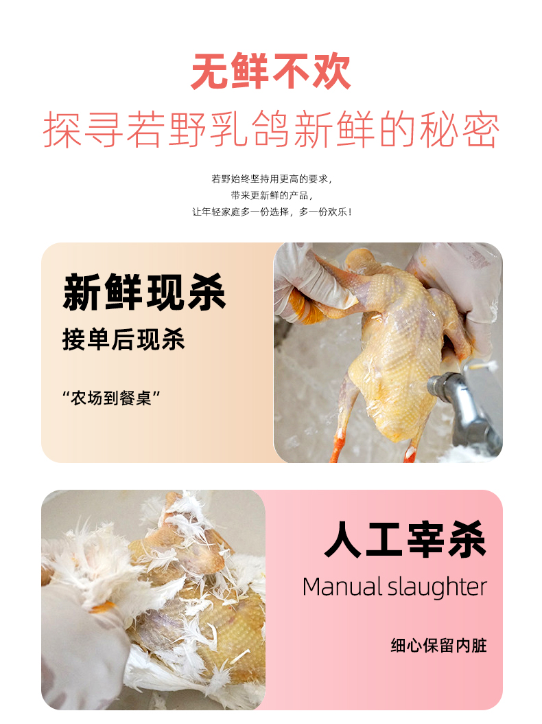 若野 活体现杀冷冻鸽子肉 3只净重不低于2斤 图9