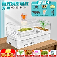 Крытый Дабай [бак + греющая лампа + фильтр + нагревательный стержень]