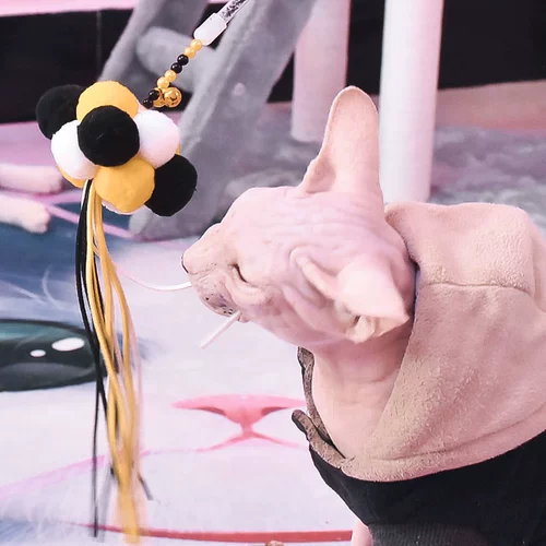 Кошачья игрушечная самооткрытка