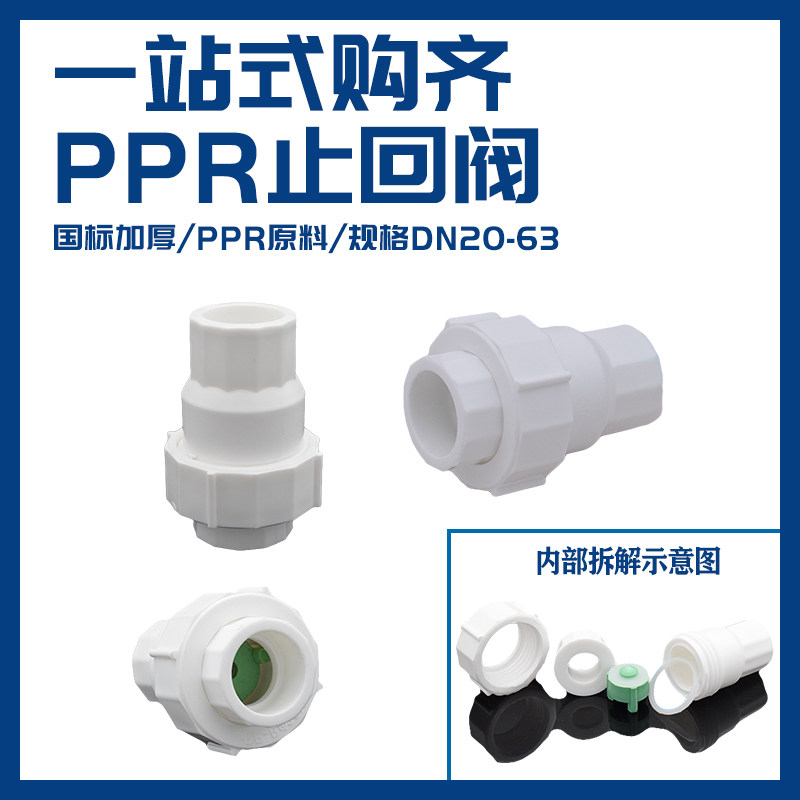 Haolan PPR check valve 20 25 32 check valve one-way valve 4 minutes 6 minutes 1 inch ppr water pipe fittings joint thick