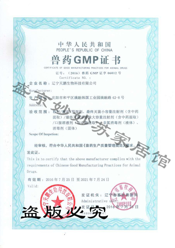 Chim bồ câu y học chim bồ câu cung cấp tinh chất gan giải độc axit giải pháp gan nhiễm độc gan và bảo vệ miễn dịch miễn dịch - Chim & Chăm sóc chim Supplies lồng bẫy chào mào