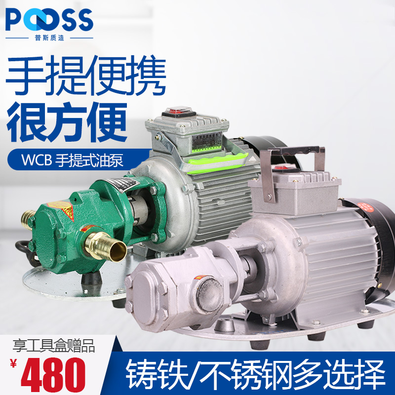Pusi WCB portable gear oil pump portable oil drum pump household 220V copper core stainless steel 304 gear diesel pump