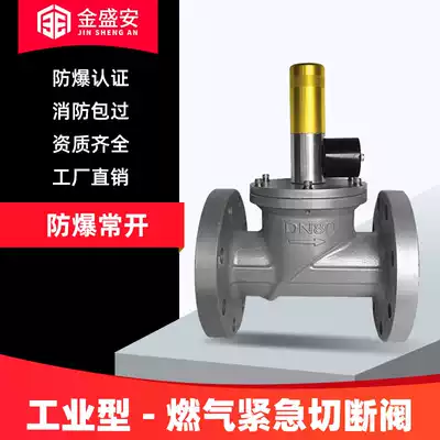 Industrial gas emergency electromagnetic shut-off valve commercial hotel explosion-proof normally open gas gas leakage automatic gas cut-off