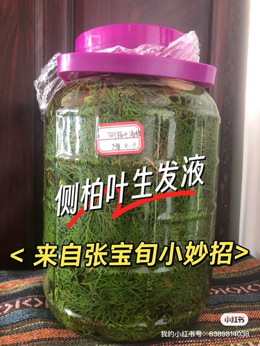 Орхидопсис лист рост волос жидко