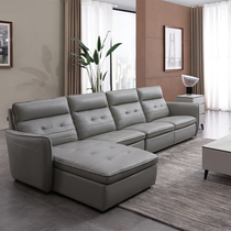 Chivas First Class City Series Simple Leisure Leather Sofa C- 1251