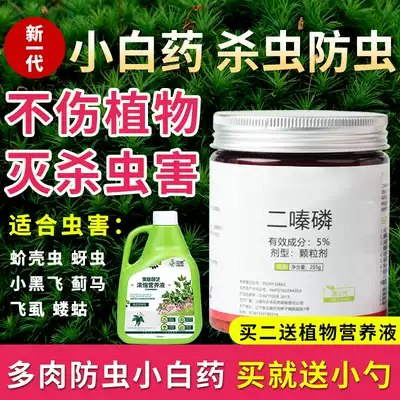 Fleshy white medicine scale shell worm special medicine General flower plant rose scale insect small black fly soil insecticide