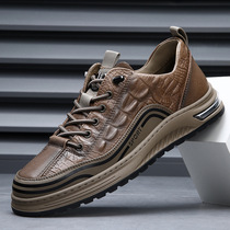 High-end Cardin Emma fashion brand Lushi mens shoes trendy shoes summer season 2024 first layer cowhide casual shoes sneakers for men