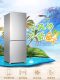 Haier Commander Bcd-170Wldpc Two-Door 170-Liter Frost-Free Energy-Saving Refrigerator for Home Use, Small and Energy-Efficient