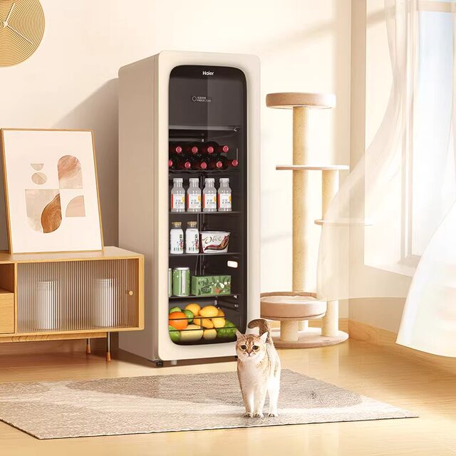 Haier DS0133LH9EY1 home office 133 liter dual temperature ice bar tea beverage preservation cabinet