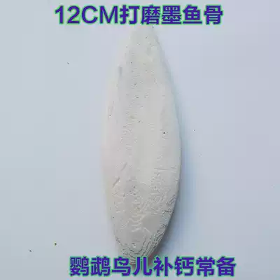 Parrots use grinding to supplement calcium cuttlefish bone sea urchin budgerigar cuttlefish bone peony bird food