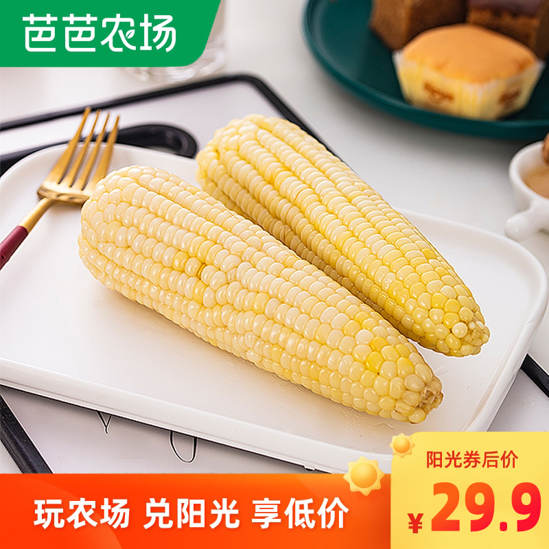 Fresh corn Waxy corn Valley Meiyoupin 10 vacuum packed breakfast Northeast white sticky corn cob sticky sweet waxy corn