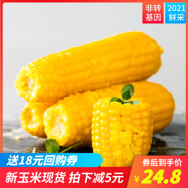 Fresh Sticky Corn Sticky Yellow Glutinous Non Northeast Genetically Modified Vacuum Packed Ready-to-eat Fat Reduction Meal Now Off Glutinous Corn