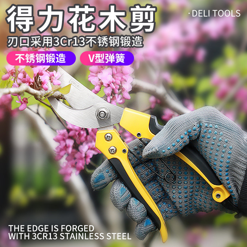 得力剪枝剪刀园林花艺修剪树枝剪刀果树剪刀花剪园艺剪子省力工具