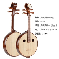 AO Shi Dalbu Ruan 8514