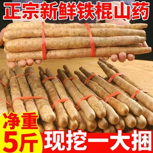 [正宗垆土铁棍山药5斤新鲜铁杆怀山药小白嘴山药粉糯香旗舰店整箱3]