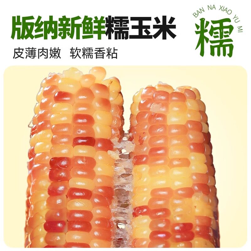 双拼花糯玉米如何挑选才能买到新鲜美味？