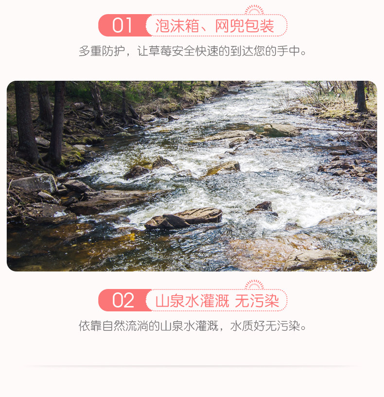当季现货 奶油草莓 2斤 图7