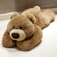 Коричневые лежащие медведи