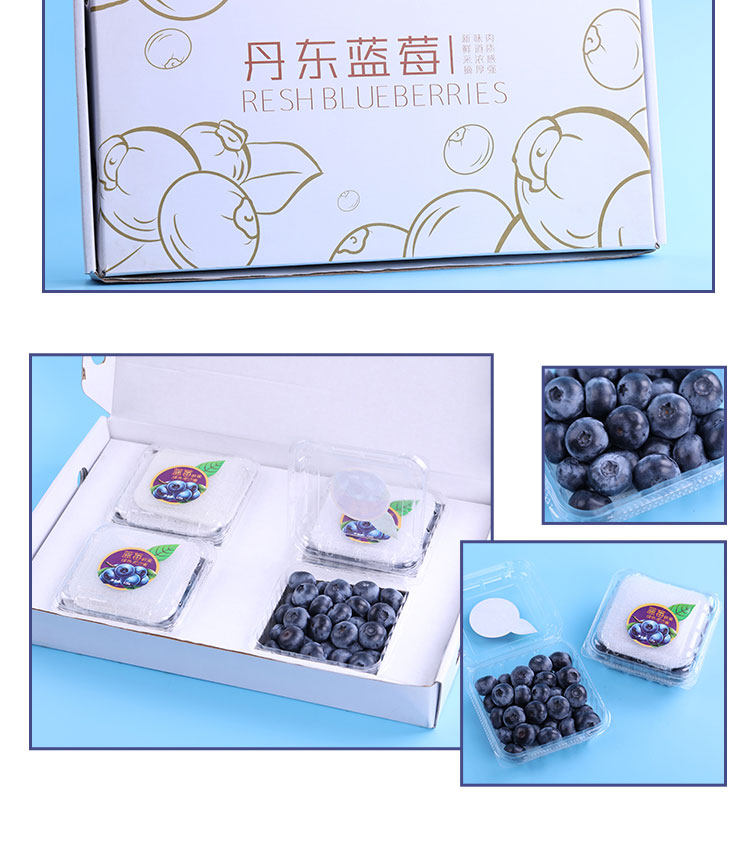丹东 新鲜蓝莓鲜果 500g 现摘现发 图13