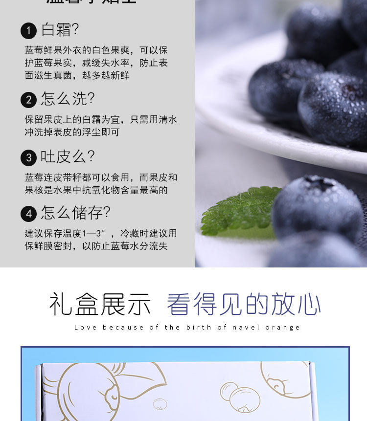 丹东 新鲜蓝莓鲜果 500g 现摘现发 图12