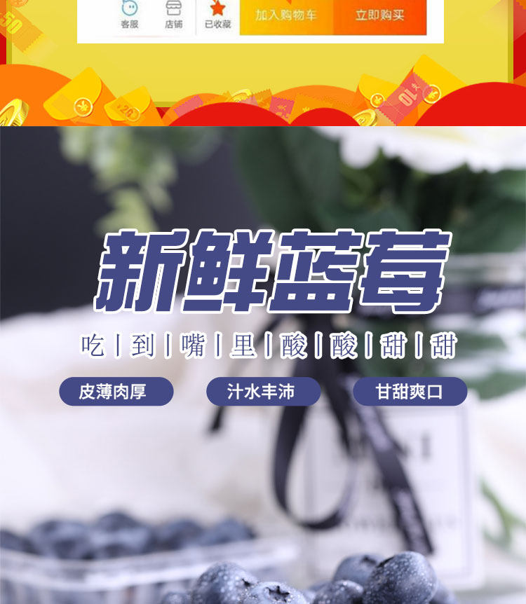 丹东 新鲜蓝莓鲜果 500g 现摘现发 图2