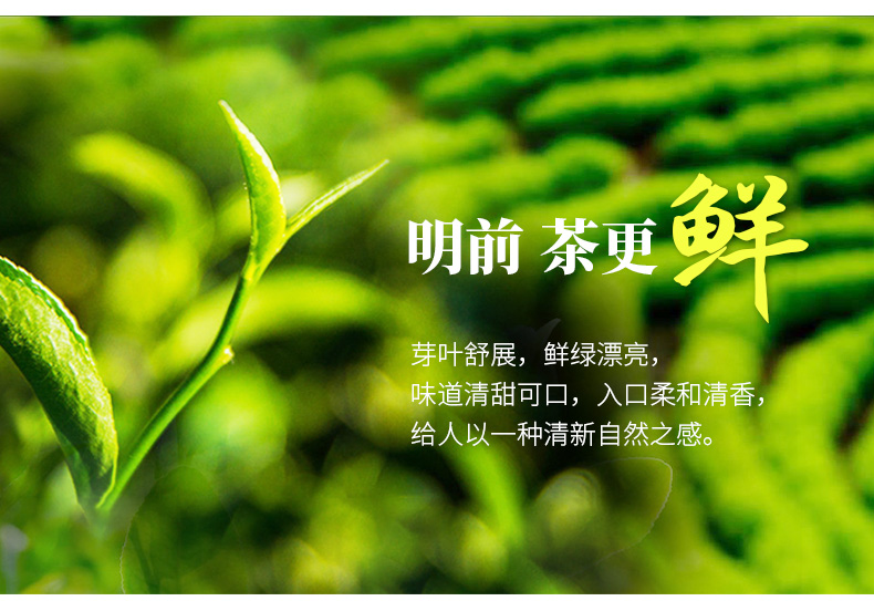 花影 明前三级西湖龙井 200g 图5