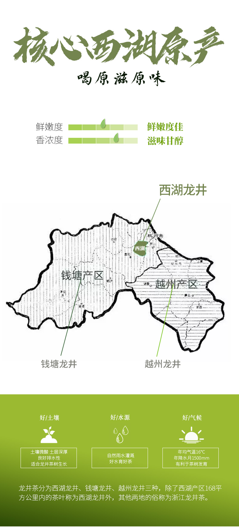花影 明前三级西湖龙井 200g 图4