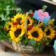 P Модель -Sunflower Basket