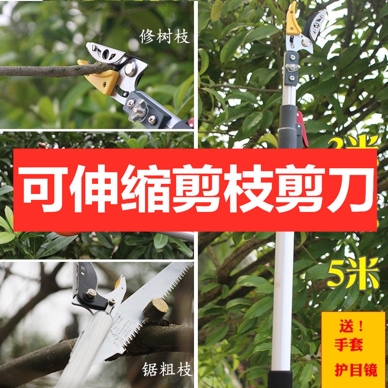 Cut branch scissors fruit tree big cut long pole can telescopic repair branch cut high branch cut lychee branch dragon eye off fruit deity