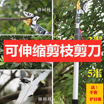 Cut branch scissors fruit tree big cut long pole can telescopic repair branch cut high branch cut lychee branch dragon eye off fruit deity