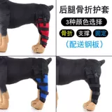 Перелом питомца Фиксированные ноги с собакой с шинкой корректировали задних ног и дислокацию сустава бедра, чтобы восстановить сторонников ремешка