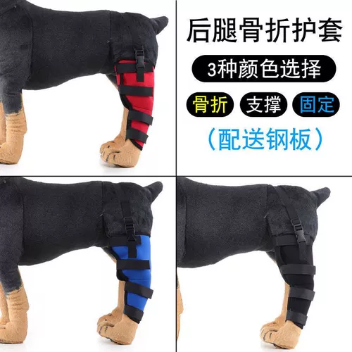 Перелом питомца Фиксированные ноги с собакой с шинкой корректировали задних ног и дислокацию сустава бедра, чтобы восстановить сторонников ремешка