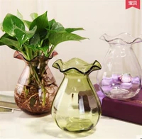 Ou Shui Fugui Tre thủy canh hoa chậu thủy tinh Bình lớn Cây nước hoa Lily Chèn trang trí Vasware - Vase / Bồn hoa & Kệ chậu trồng cây thủy sinh