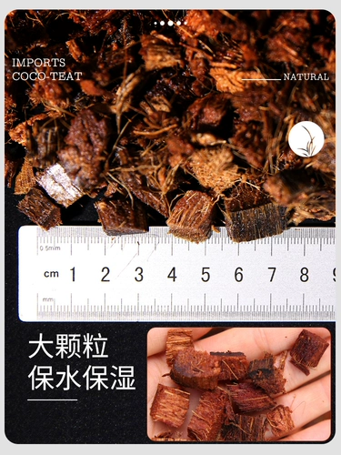 Кокосовая ракушка Кокосовая кирпичная кирпичная кирпичная орхида