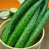 【30 огурцов】