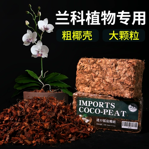 Кокосовая ракушка Кокосовая кирпичная кирпичная кирпичная орхида