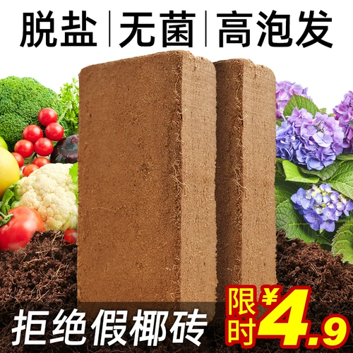 Кокосовое кирпичное питание почва почва Кокосовое кокосовое кокосовое кокосовое оболоч