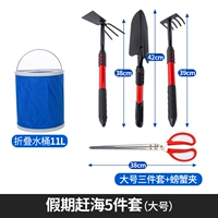 [Бесплатная доставка SF Express] Набор из пяти предметов для отдыха на море (большой размер)