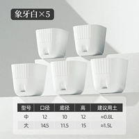 Ivory White [5 установок]