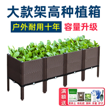 Planting Box Balcony Species Vegetable Theorizer Home Vegetable Seed Vegetable Basin Rectangular Flower Pot box Outdoor cabbage Extra Large clear cabin
