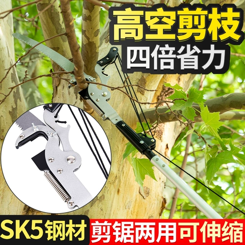 Высокие ветви, телескопические высоковысовые ветви фруктовых деревьев и удлиненные высокие ветви видели сады энергичные ножницы