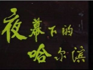 DVD machine version [Harbin under nightfall] Lin Yuanxin Xing Long 13 sets 2 discs